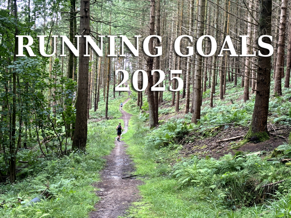 My running goals&nbsp;2025